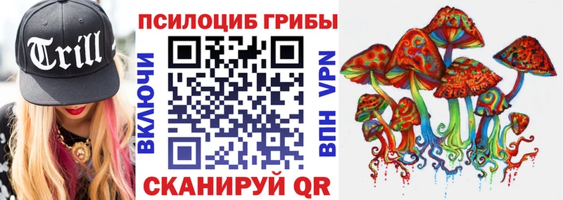 наркота  Юрьев-Польский  Галлюциногенные грибы мицелий 